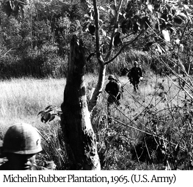michelin rubber plantation